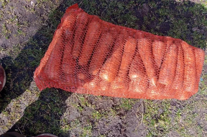 Продам моркву- фото № 1