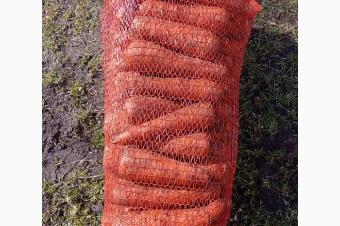 Продам моркву- фото № 2