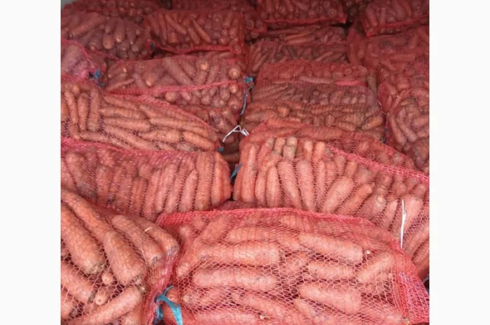 Продам моркву- фото № 3