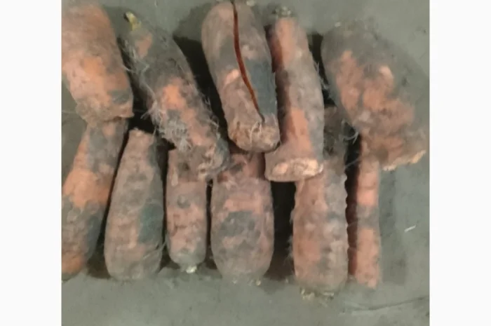 Продам моркву не товарну, під переробку- фото № 2