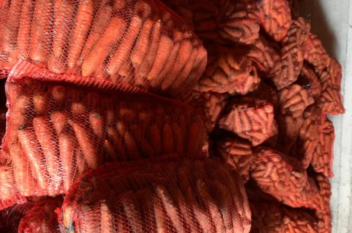 Продам велику моркву- фото № 3