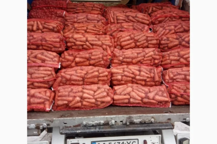 Продам моркву- фото № 1