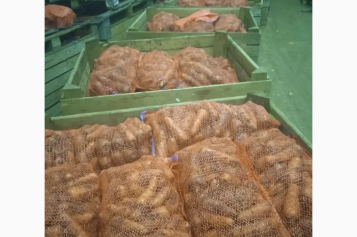 Продам Моркву- фото № 4