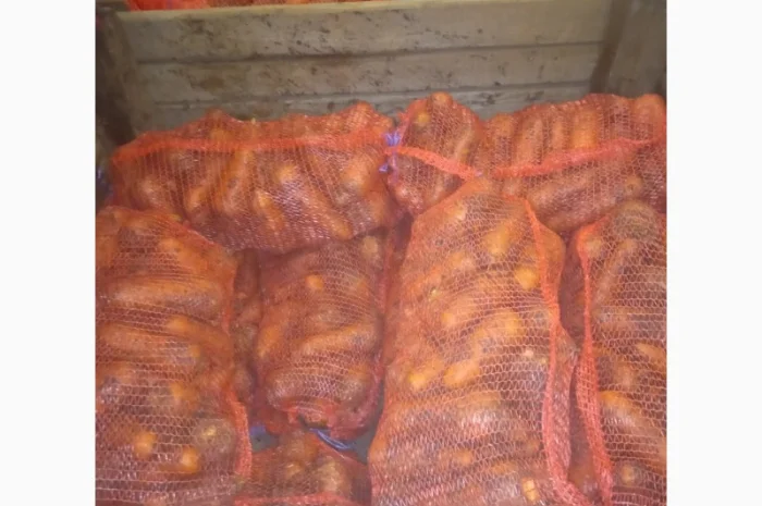 Продам Моркву- фото № 5