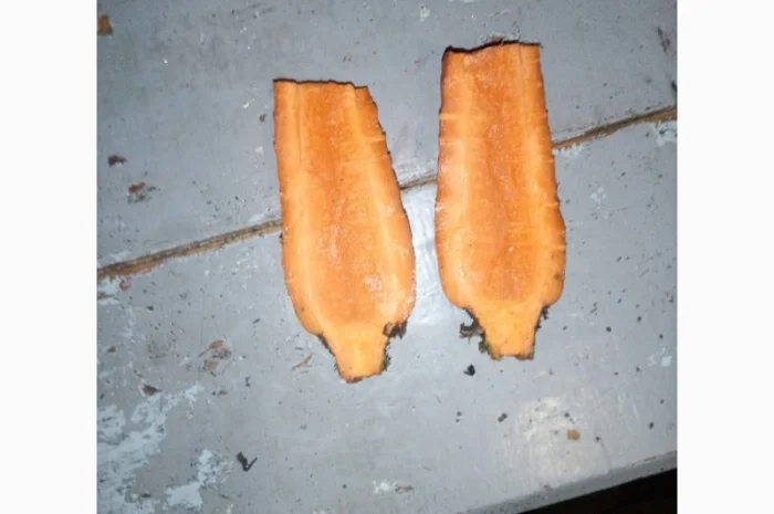 Продам моркву- фото № 1