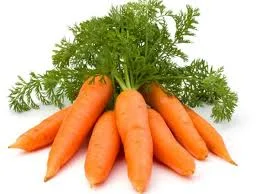 Купим морковь 1-ой категории- фото № 1