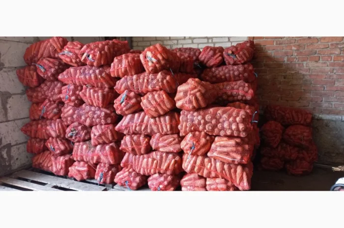 Продам моркву- фото № 1