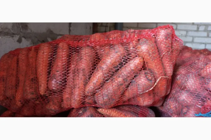 Продам моркву- фото № 3