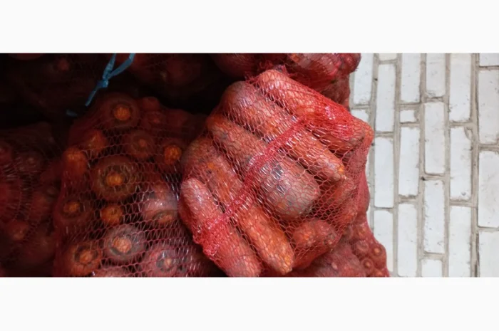 Продам моркву- фото № 4