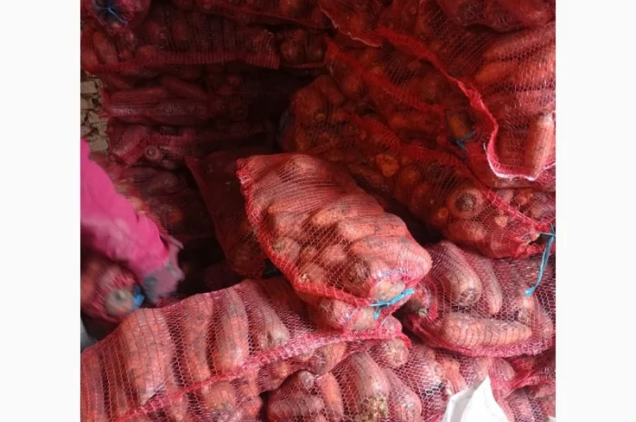 Продам морковь крупную- фото № 1