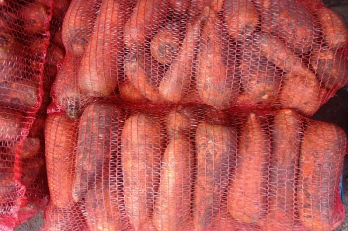 Продам морковь- фото № 1