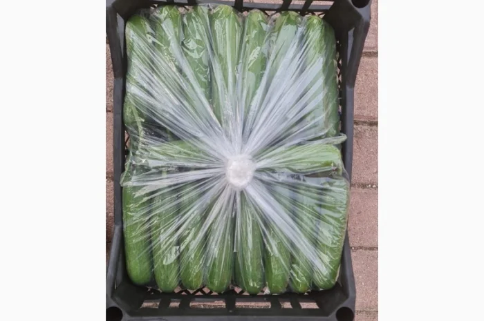 Прямые оптовые продажи Огурцов из Турции- фото № 4