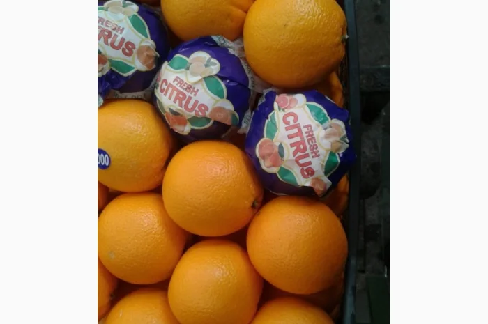 Прямые оптовые продажи Огурцов из Турции- фото № 6