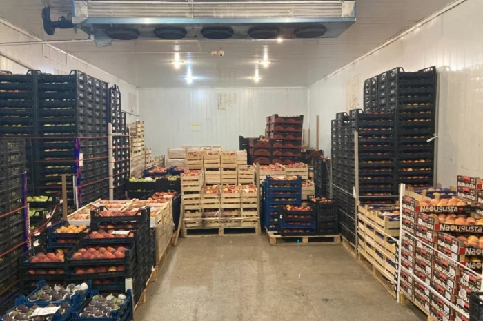 Продам огурцы оптом- фото № 2