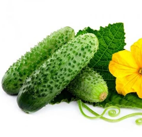 Купуємо огірки- фото № 1