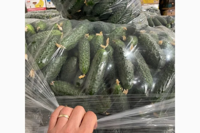 Огурец Румыния- фото № 10