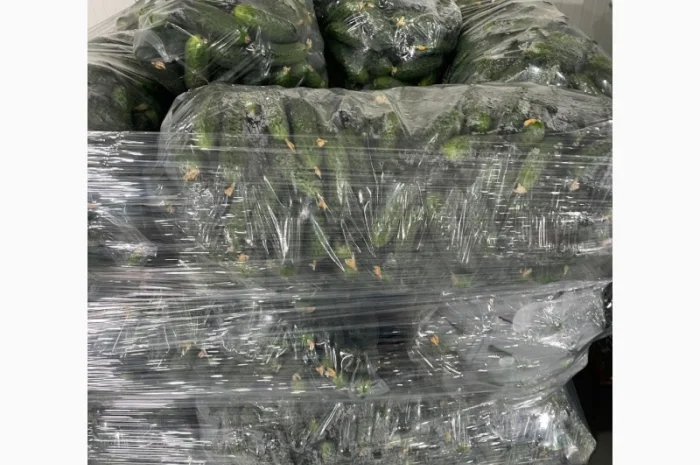 Огурец Румыния- фото № 9