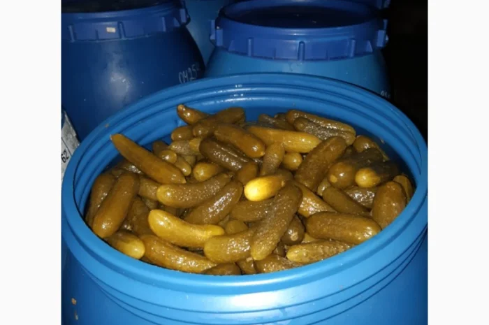 Продам огірок- фото № 1