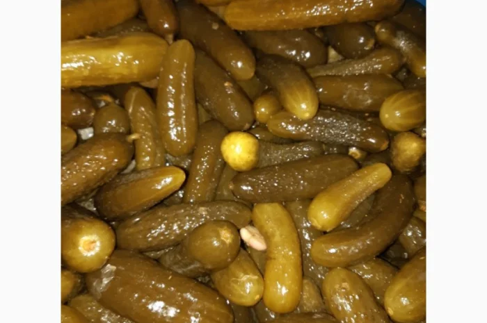 Продам огірок- фото № 2