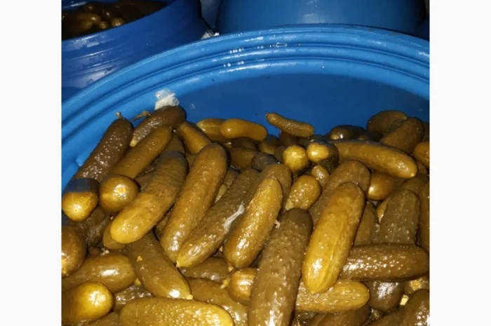 Продам огірок- фото № 3