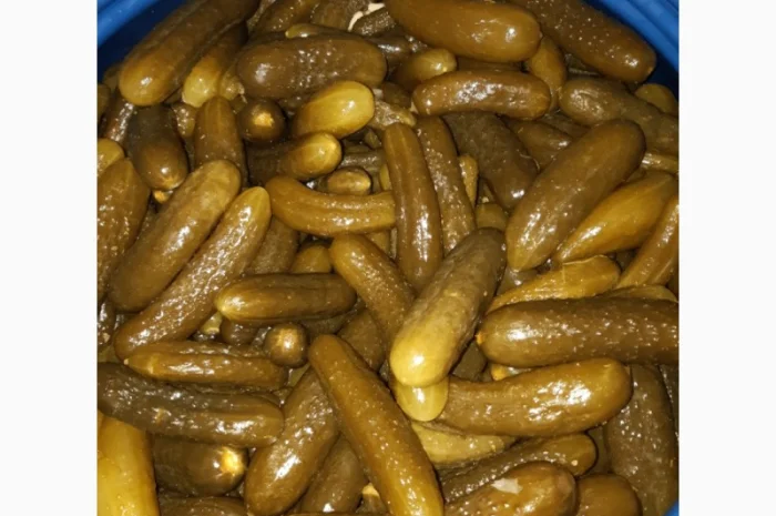 Продам огірок- фото № 4