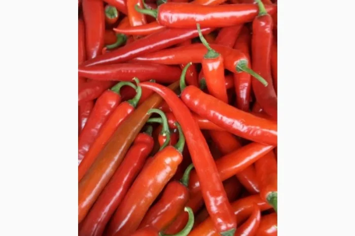 Перець гострий Єгипет- фото № 1