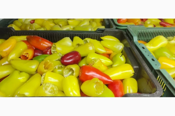 Заморожений перець для фарширування- фото № 1