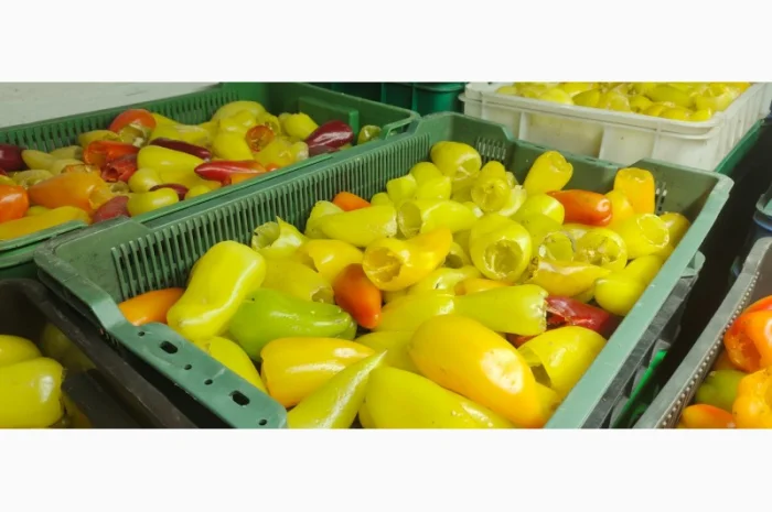 Заморожений перець для фарширування- фото № 2