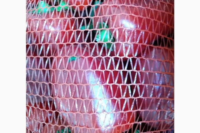 Продам свіжий солодкий перець Полет, Портека, Білозірку 5т- фото № 2