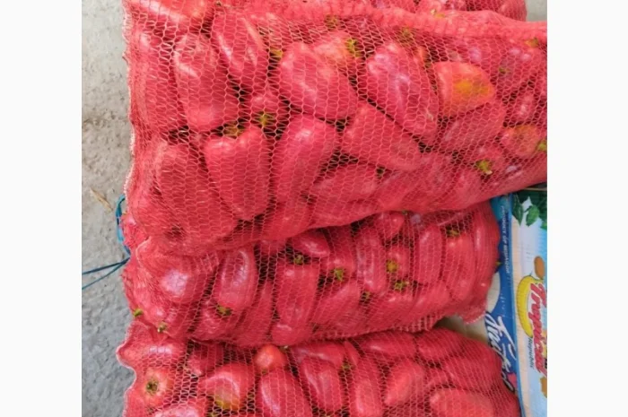 Продам свіжий солодкий перець Полет, Портека, Білозірку 5т- фото № 3