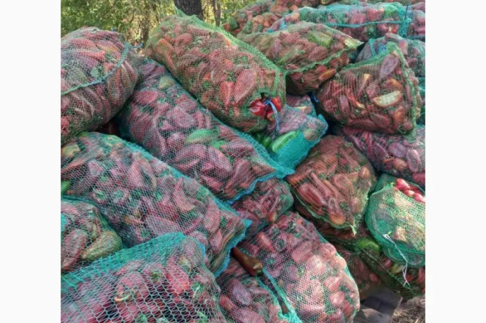 Продам червоний перець- фото № 4