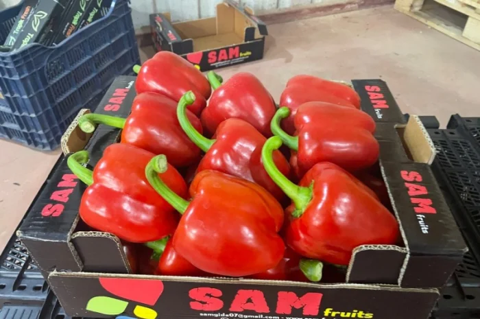 Перец экспорт из Турции- фото № 1