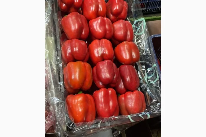 Перец экспорт из Турции- фото № 2