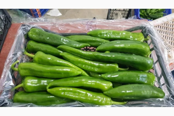 Перец экспорт из Турции- фото № 3