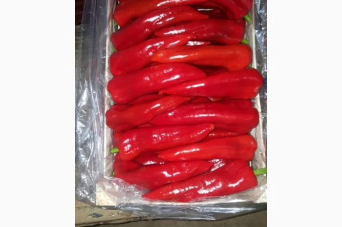 Перец экспорт из Турции- фото № 4