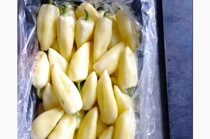 Перец экспорт из Турции- фото № 5