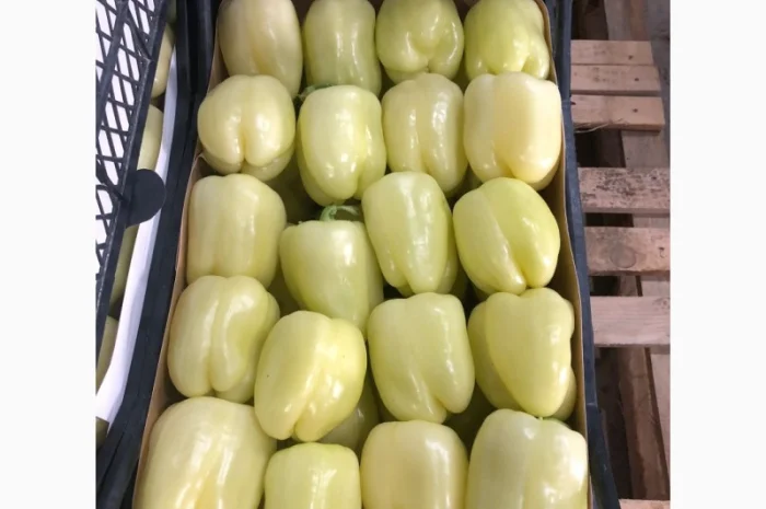 Перец экспорт из Турции- фото № 6