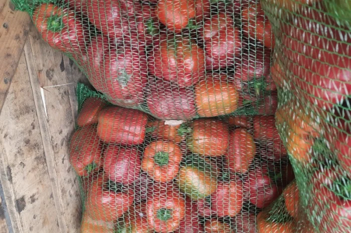 Продам перец- фото № 1