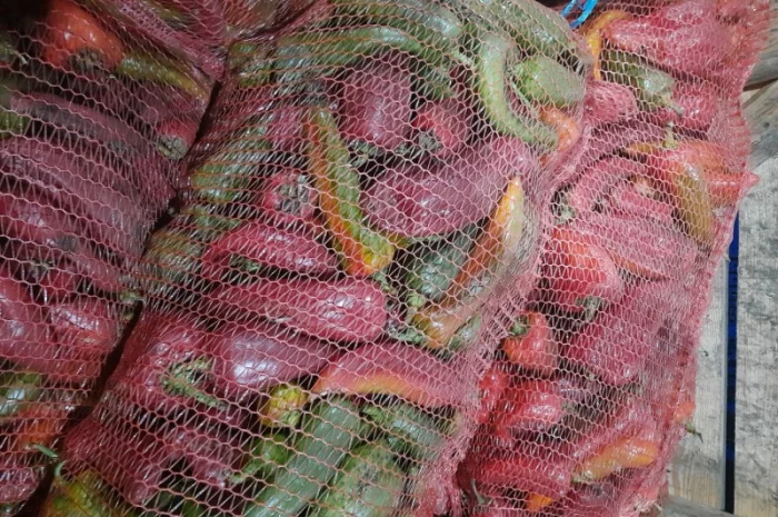 Продам перец- фото № 2