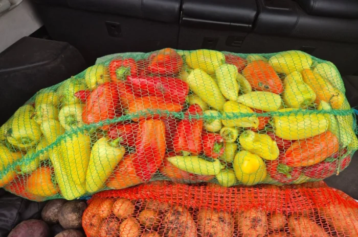 Перец белозерка високої якості на продаж- фото № 1