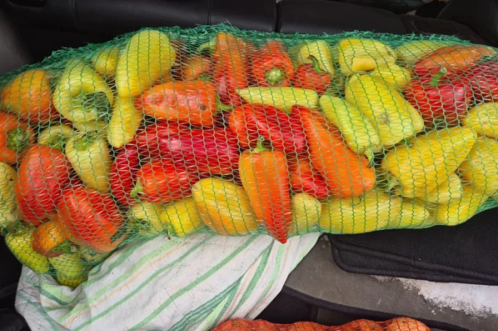 Перец белозерка високої якості на продаж- фото № 3