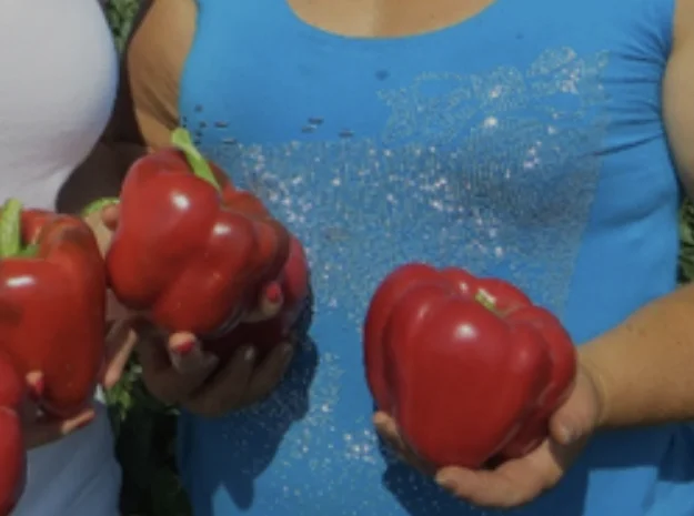 Перец геркулес- фото № 2