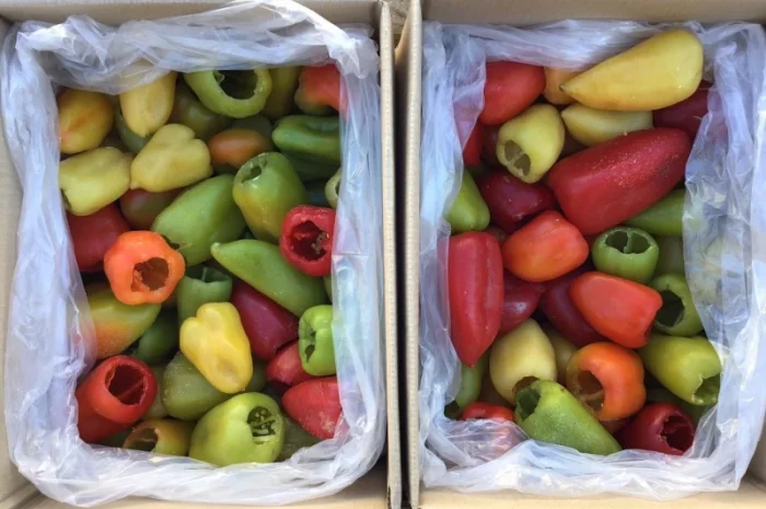 Оптовий продаж перцю замороженого- фото № 1