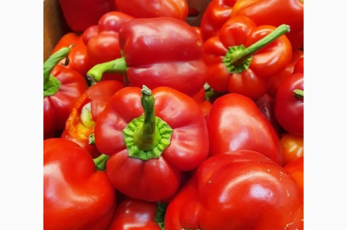 Купимо червоний перець оптом від 10 тон- фото № 1
