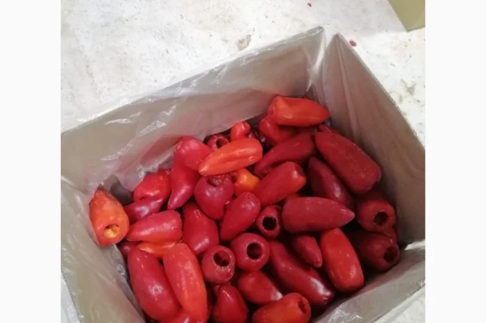 Продам перець червоний заморожений- фото № 2