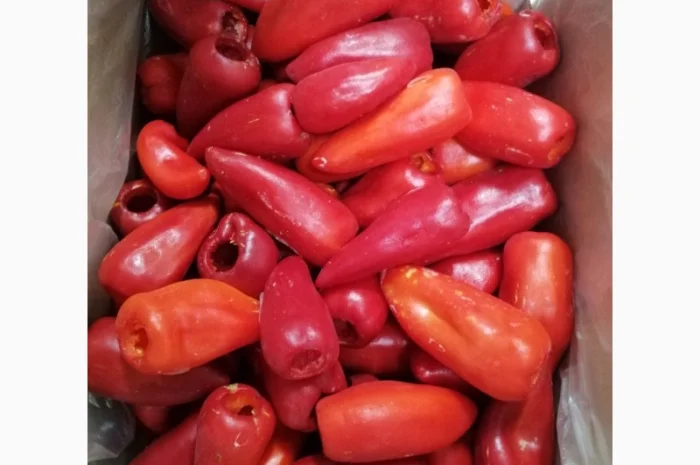 Продам перець червоний заморожений- фото № 6