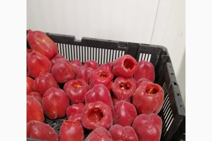 Продам перець червоний цілий заморожений- фото № 11