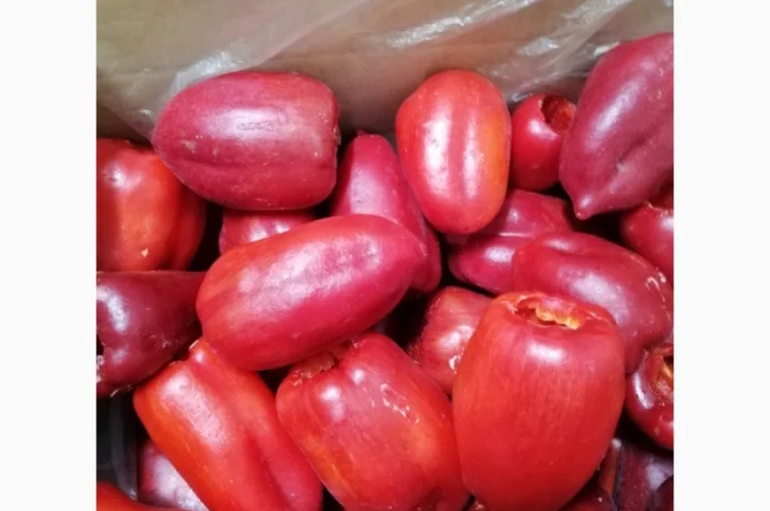 Продам перець червоний цілий заморожений- фото № 13