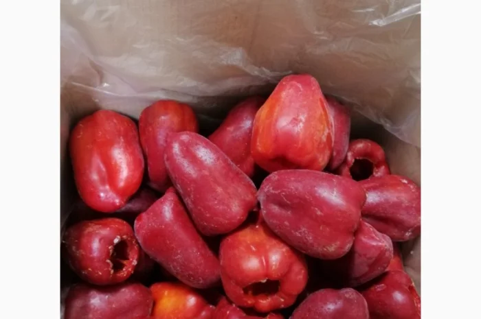 Продам перець червоний цілий заморожений- фото № 3