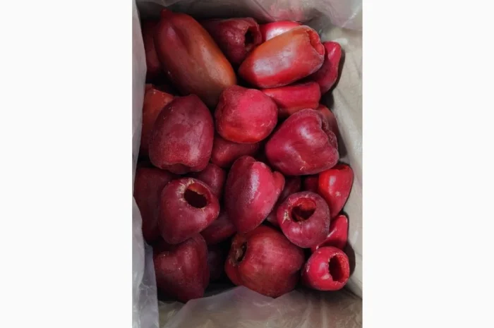 Продам перець червоний цілий заморожений- фото № 8